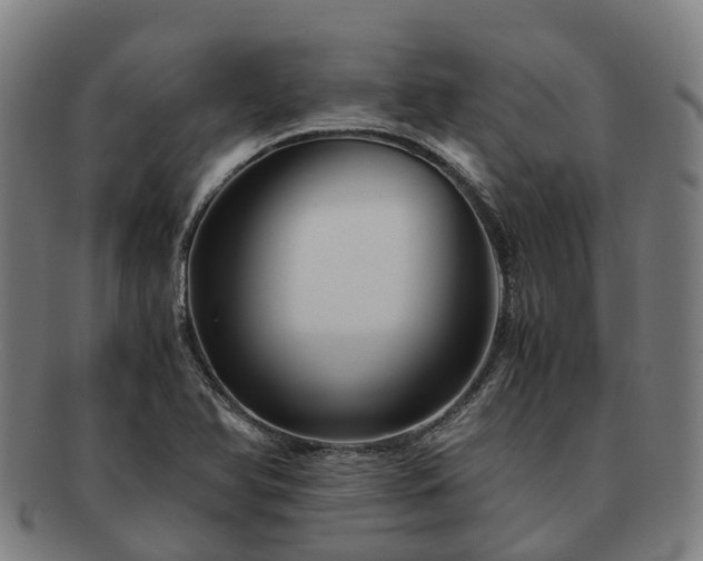 X0000091711366200708311106