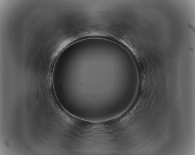 X0000091711367200708311106