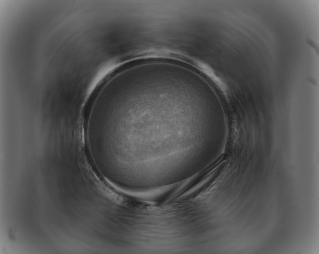 X0000091711368200708311106