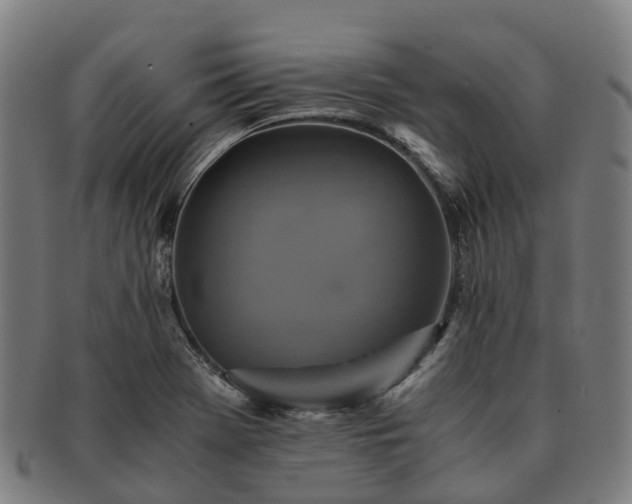 X0000091711369200708311106