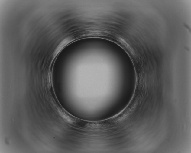 X0000091711370200708311106