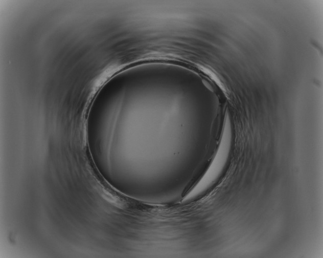 X0000091711371200708311106