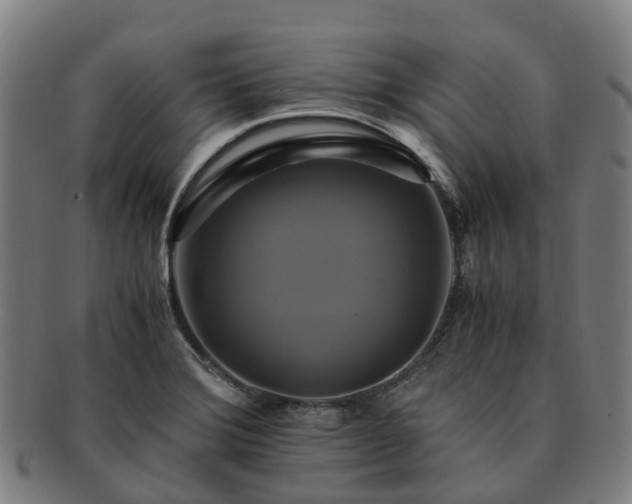 X0000091711372200708311106