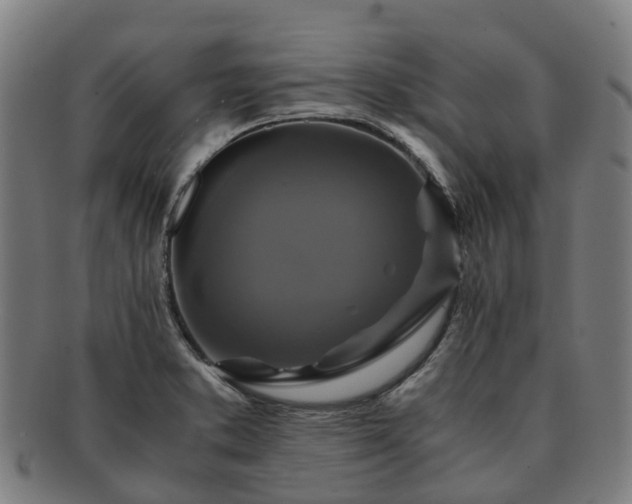 X0000091711373200708311106