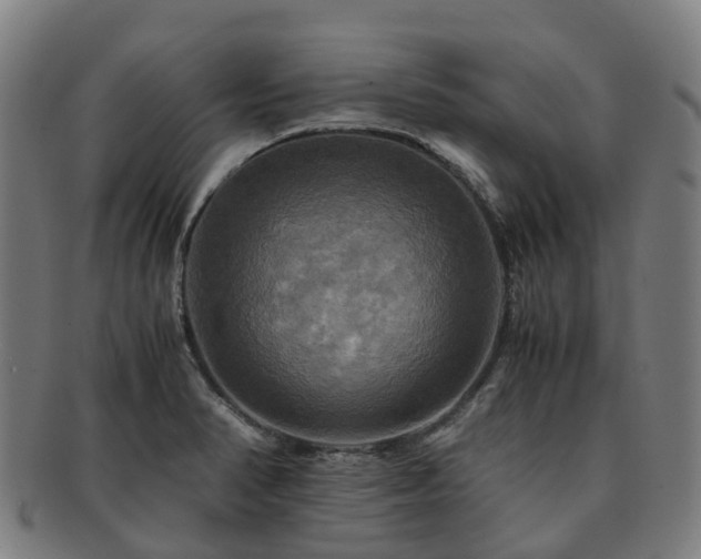 X0000091711374200708311106