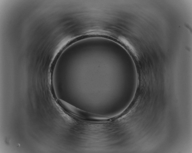 X0000091711376200708311106