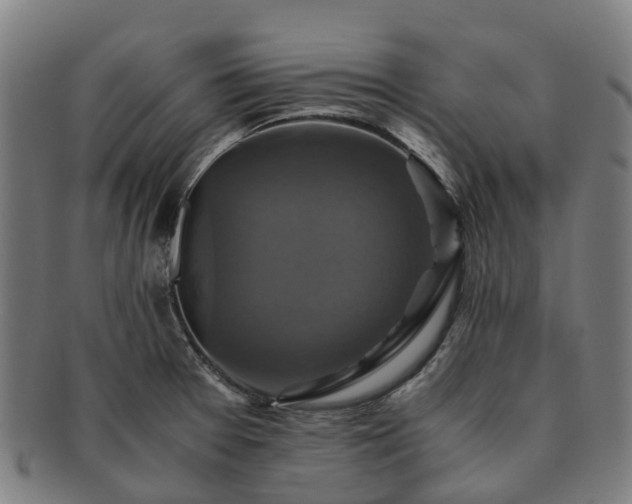 X0000091711377200708311106