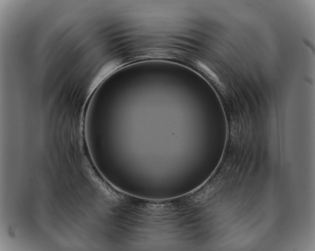 X0000091711378200708311106