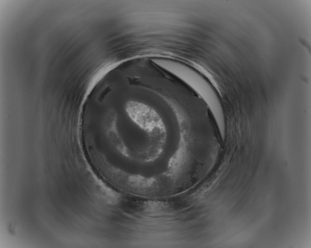 X0000091711379200708311106