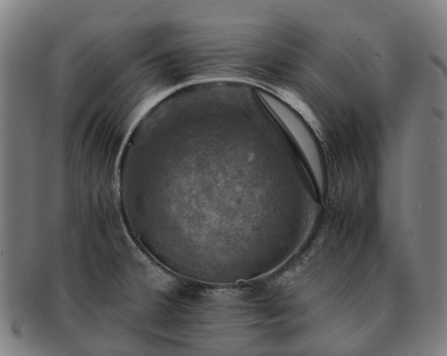 X0000091711380200708311106