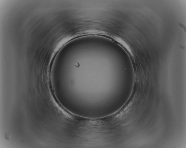 X0000091711381200708311106