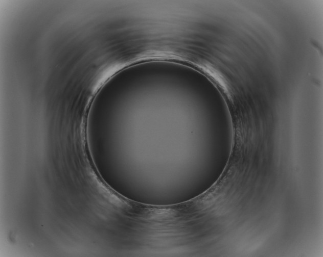 X0000091711382200708311106