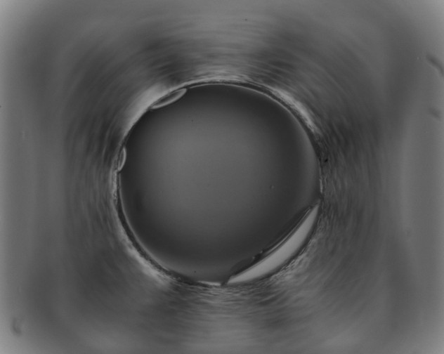 X0000091711383200708311106