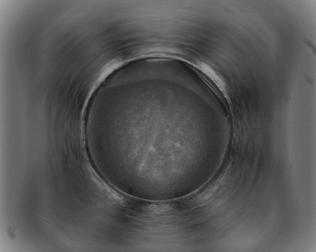 X0000091711384200708311106