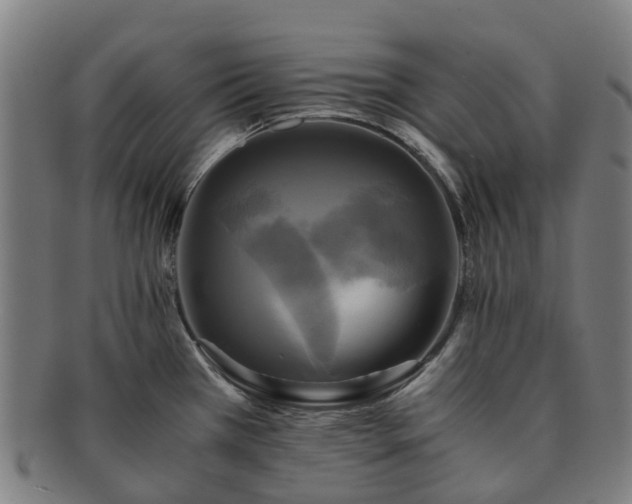 X0000091711385200708311106