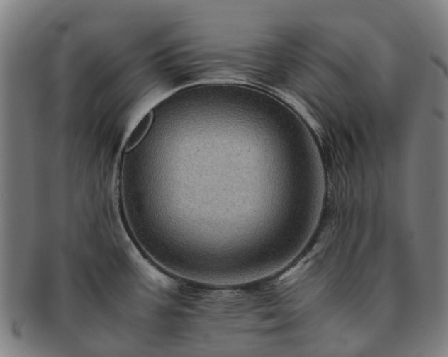 X0000091711387200708311106