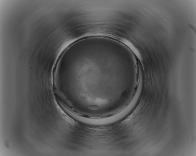 X0000091711388200708311106