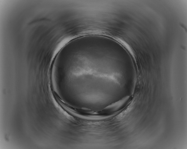 X0000091711389200708311105