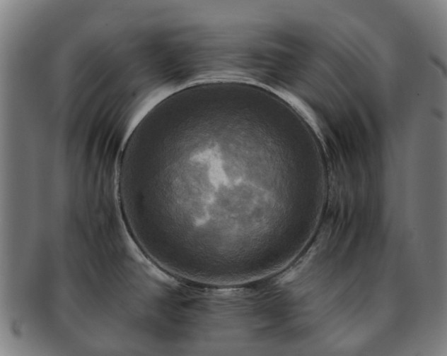 X0000091711390200708311105