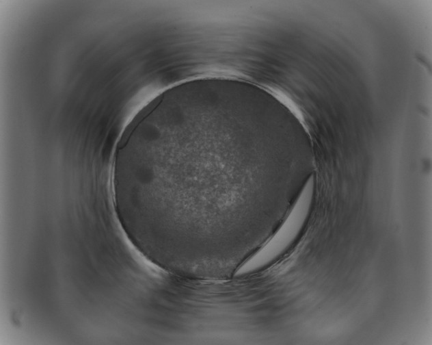 X0000091711391200708311105