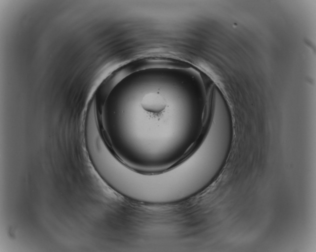 X0000091711392200708311105