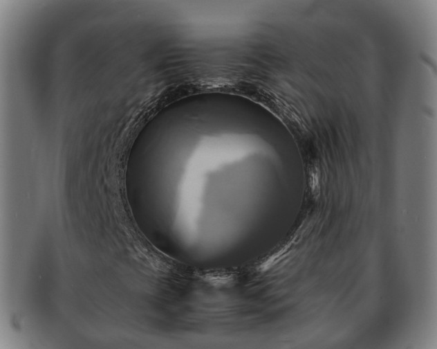 X0000091711393200708311105