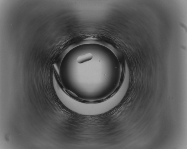 X0000091711394200708311105