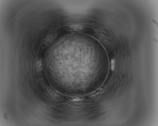 X0000091711395200708311105