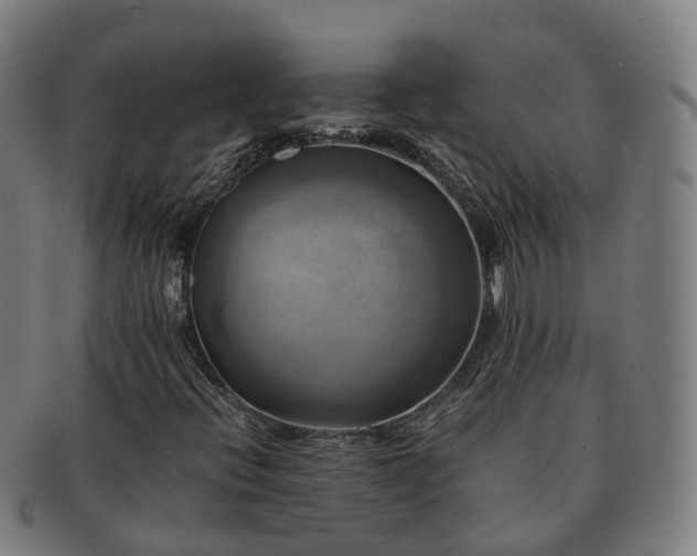 X0000091711396200708311105