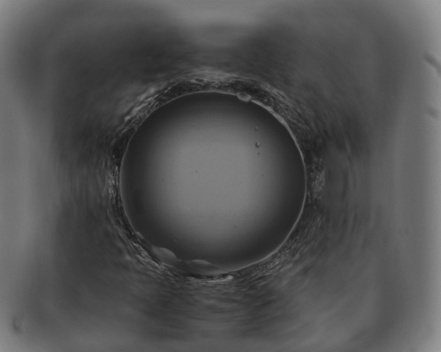 X0000091711397200708311105