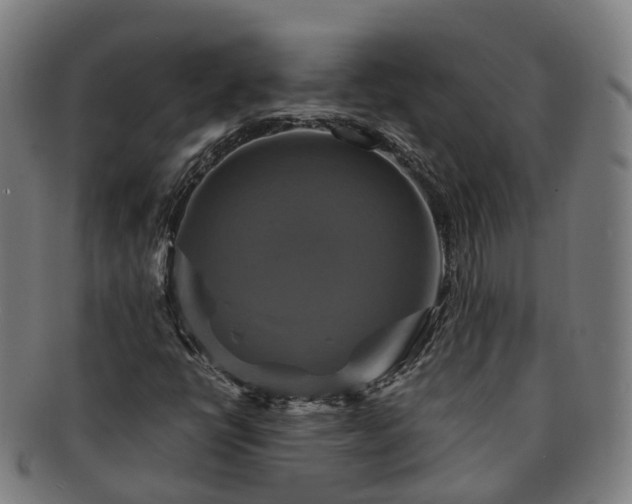 X0000091711398200708311105