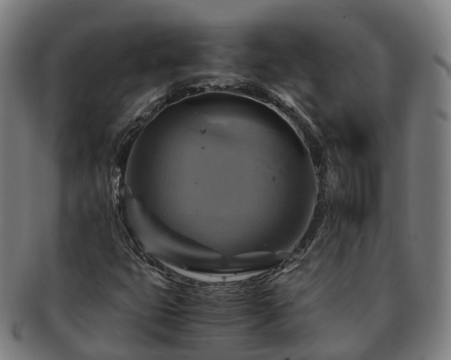 X0000091711399200708311105