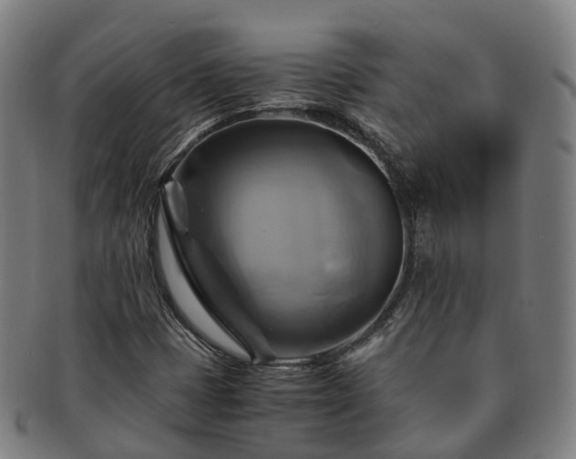 X0000091711401200708311105