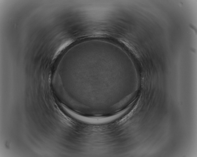 X0000091711402200708311105