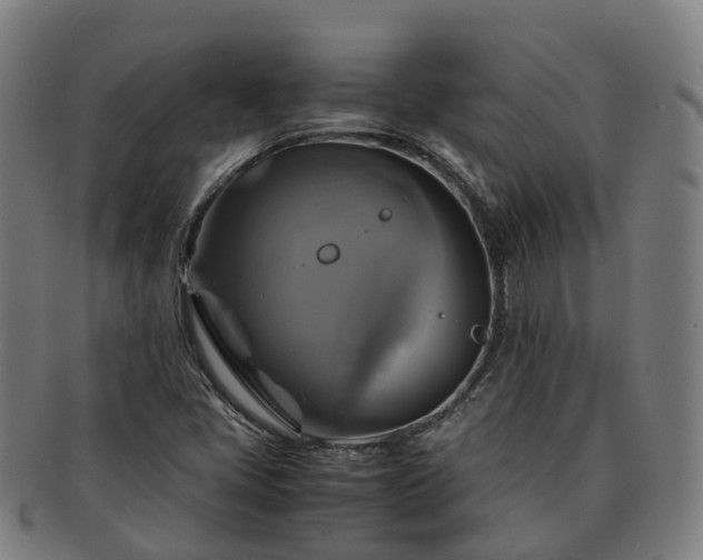 X0000091711405200708311105