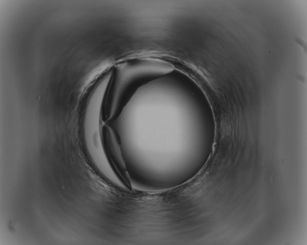 X0000091711406200708311105