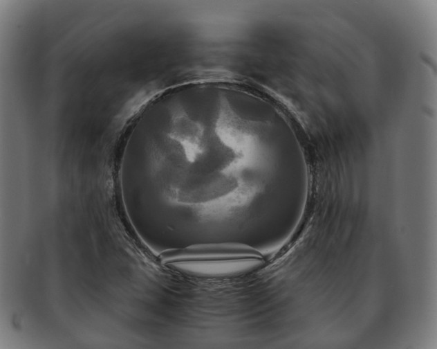 X0000091711407200708311105