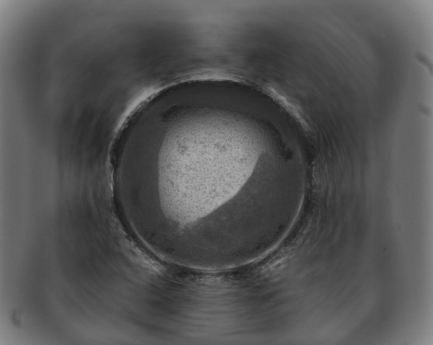 X0000091711408200708311105