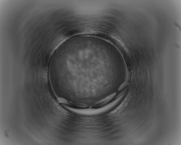 X0000091711409200708311105