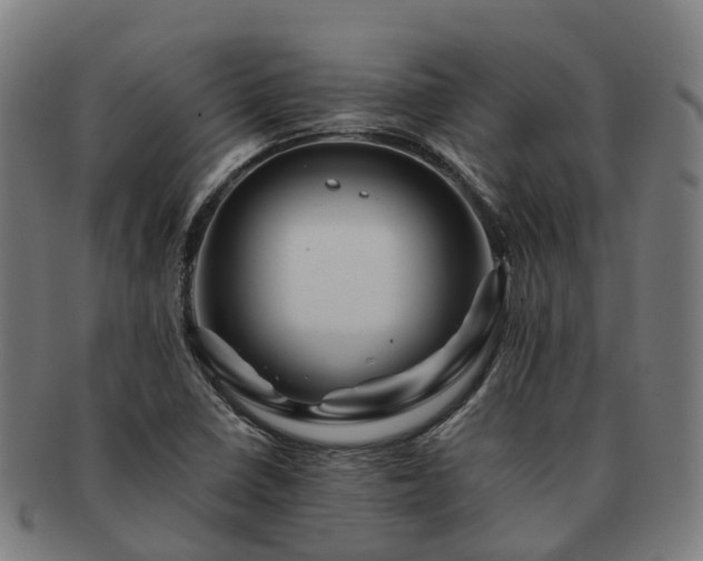 X0000091711410200708311105