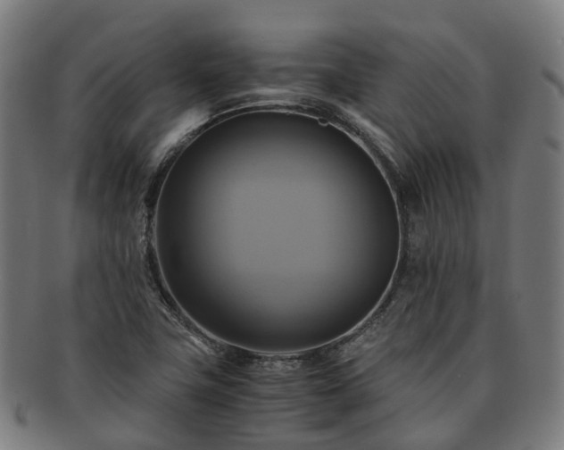 X0000091711411200708311105