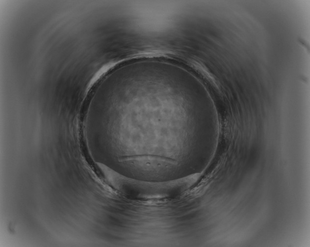 X0000091711412200708311105