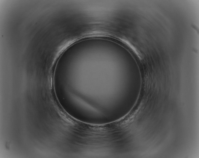 X0000091711413200708311105