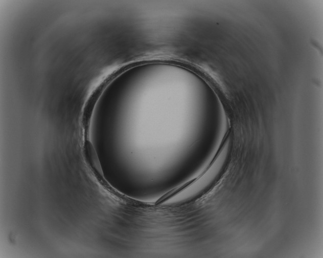 X0000091711414200708311105