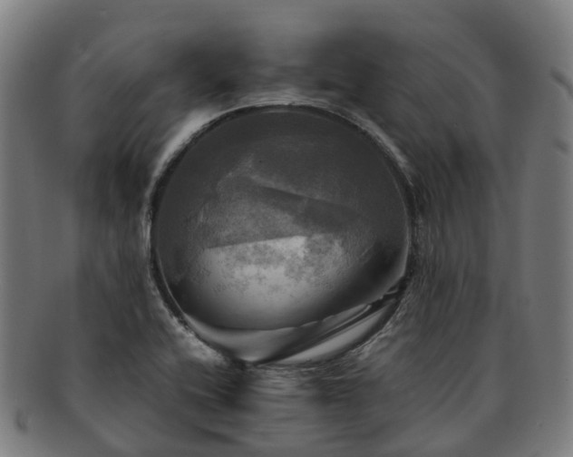 X0000091711416200708311105