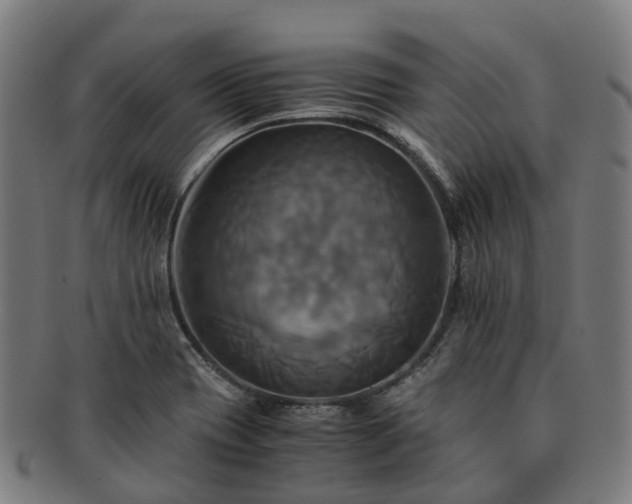 X0000091711417200708311105