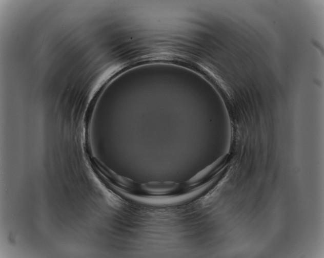 X0000091711418200708311105