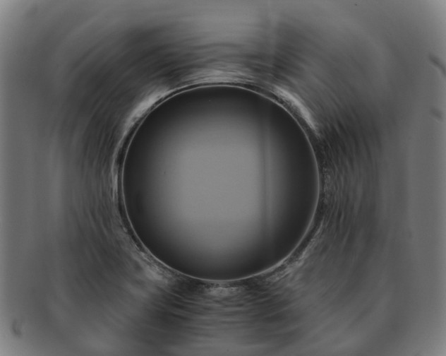 X0000091711419200708311105