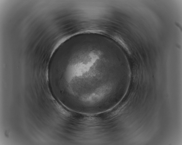 X0000091711420200708311105