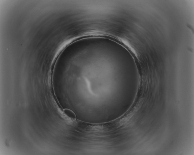 X0000091711421200708311105